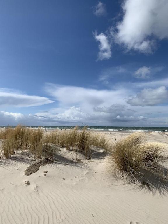 Villa Seeblick Warnemuende - Fewo Mit Meerblick Und Balkon Direkt Am Strand Fuer 2-4 Pers 로스토크 외부 사진